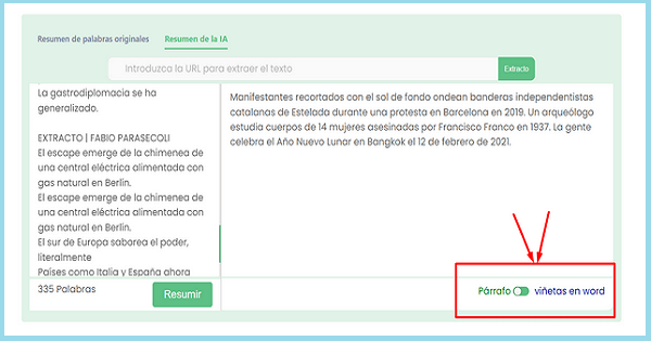 Resumidor de Textos para Marketing Digital Resumen De Palabras En Vinetas