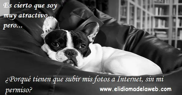 ¡Piénsalo mucho antes de publicar una foto en Internet! fotos internet